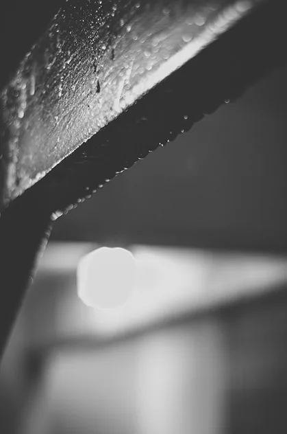Black White Photography, by Shane Rounce (Ace Media)