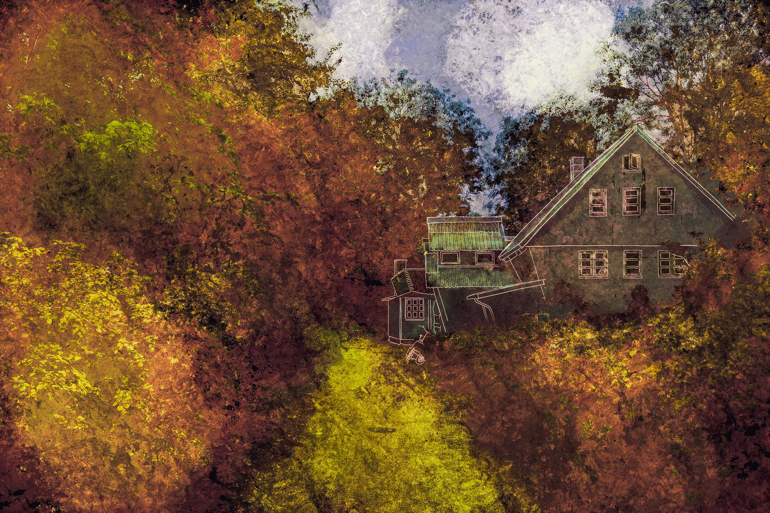 House in the Trees, by Shane Rounce (Ace Media)