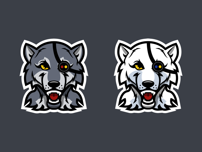 Arctic Wolf, by Shane Rounce (Ace Media)