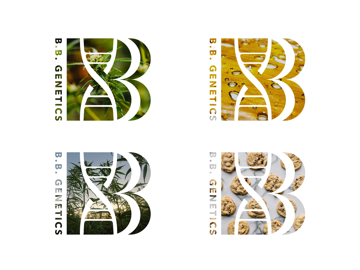BB Genetics, by Shane Rounce (Ace Media)