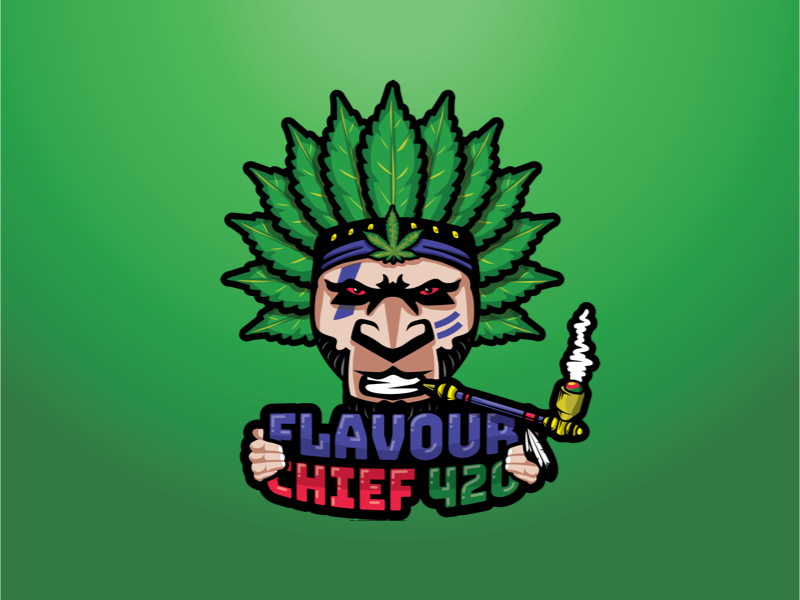 Flavour Chief V2, by Shane Rounce (Ace Media)