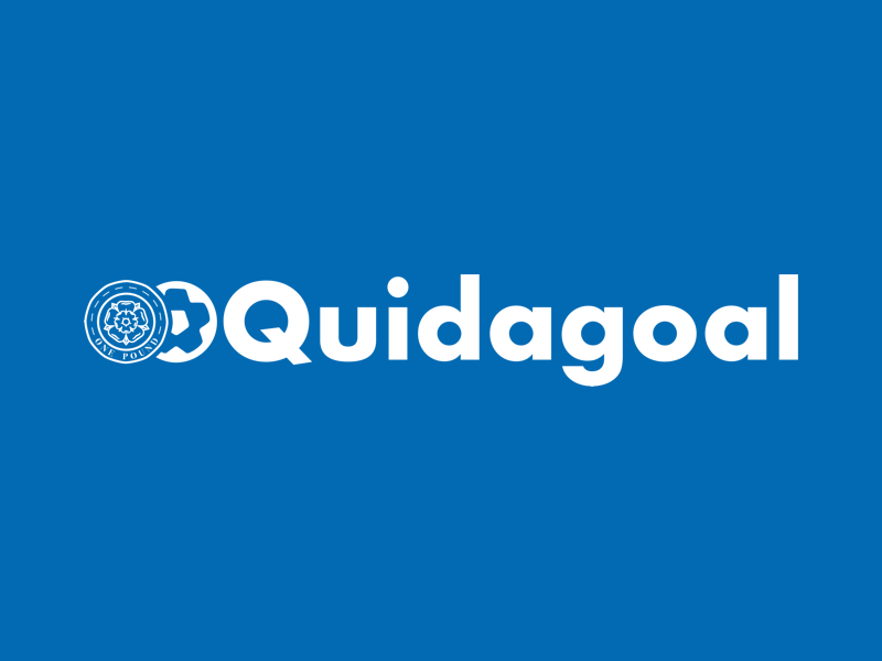 Quidagoal Brand Design, by Shane Rounce (Ace Media)