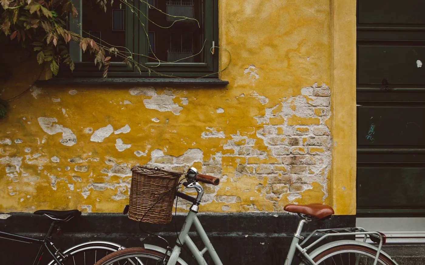 Bike by Yellow Wall, by Shane Rounce (Ace Media)