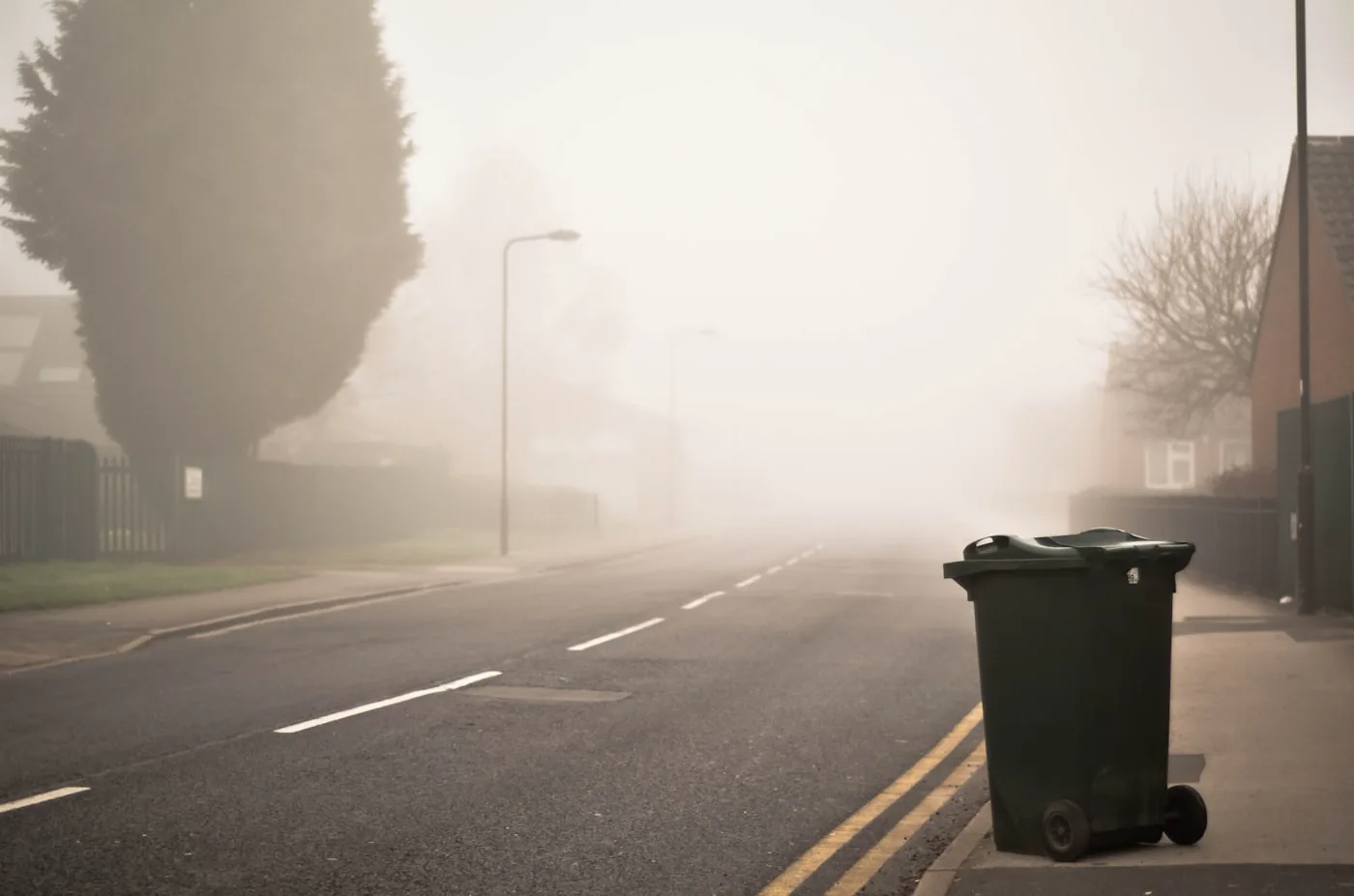 Misty Suburban Neighborhood, by Shane Rounce (Ace Media)