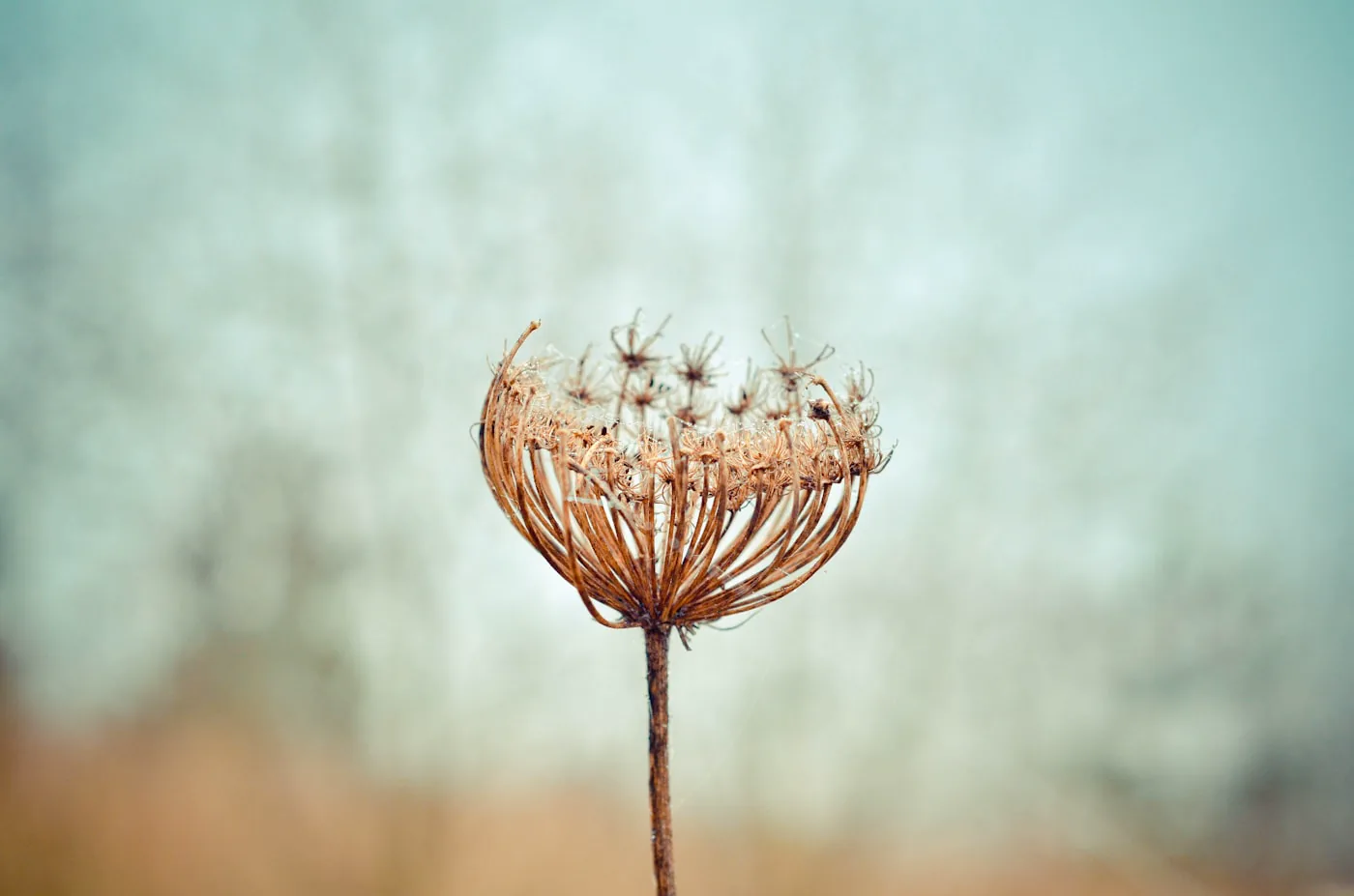 Taken in Dinnington Nature Reserve., by Shane Rounce (Ace Media)